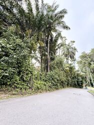 Cluny Park (D10), Detached #560244421